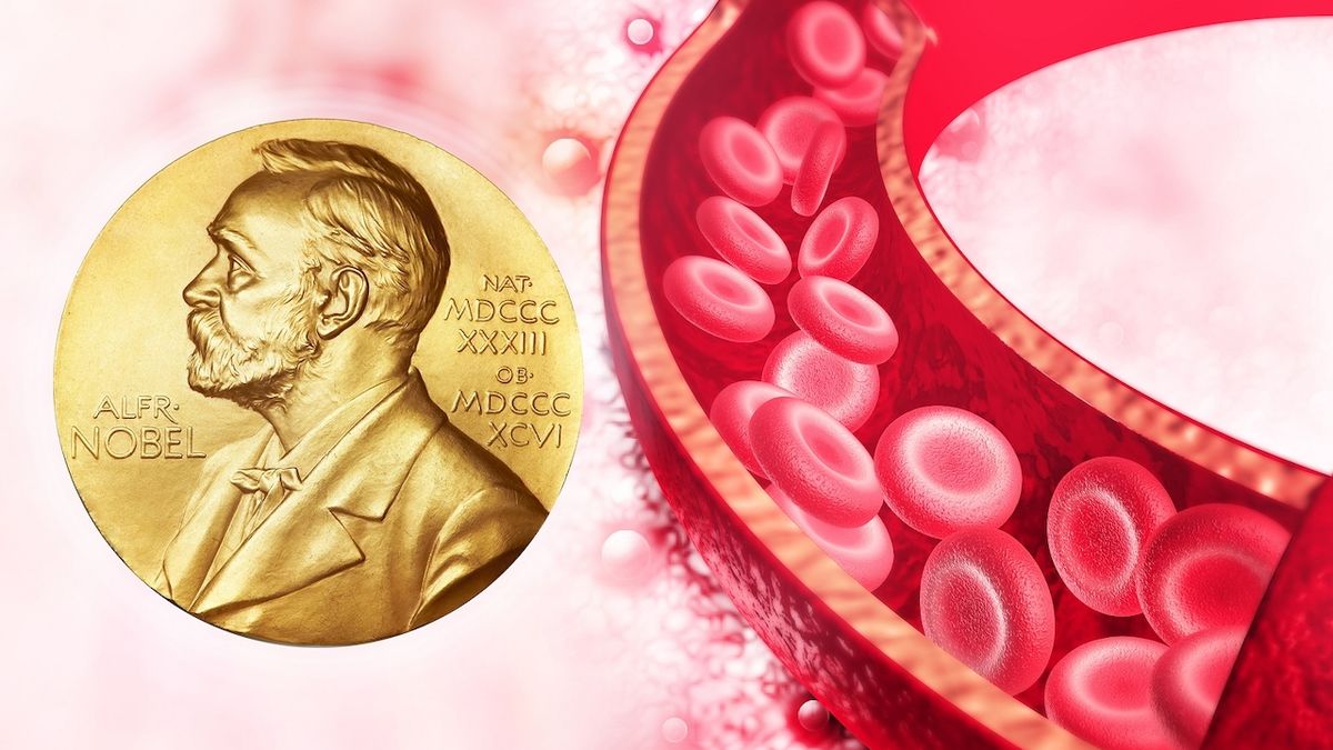 Skvělá zpráva: Vitamín K2 – nový supervitamín s Nobelovou cenou nyní zdarma pro vás